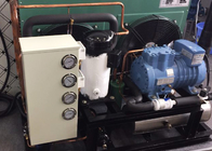 Unité de condensation hermétique professionnelle de refroidissement à l'air pour le réfrigérateur de médecine d'hôpital