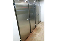 porte de chambre froide de 900 * de 2000mm, porte coulissante électrique avec l'appareil de chauffage pour le réfrigérateur
